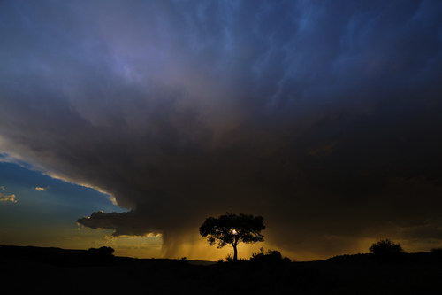 Jubierre tormenta,Juan Muñoz Fotografía, fotografía documental, fotografía de paisaje